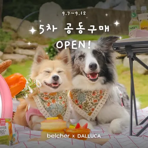 Two dogs at a Belcher group buy