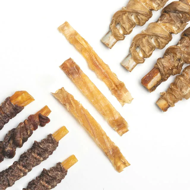 Horse Trachea